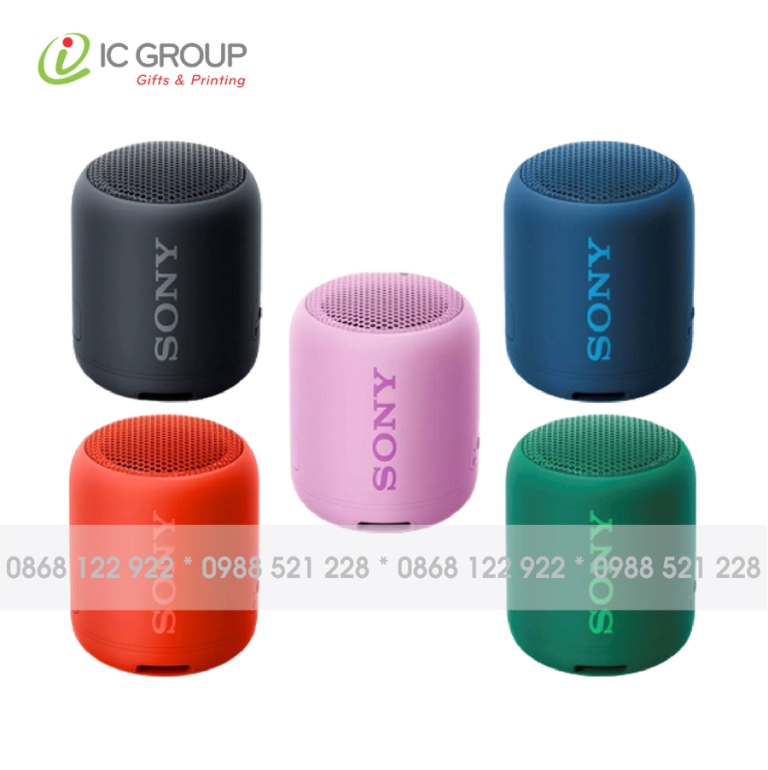 LOA BLUETOOTH 019